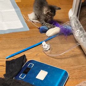 憲俊です。〜らじおのじかん〜の画像