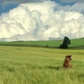 何処？夢の中にの画像