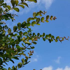 13日。土曜日。の画像