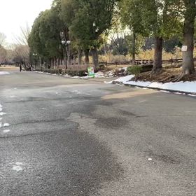 リレー選考会（女子）ゴール付近⑥の画像