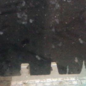 ハイブリッドエンゼル  人工孵化  8日目の画像