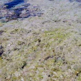 ちょっとお試しの画像