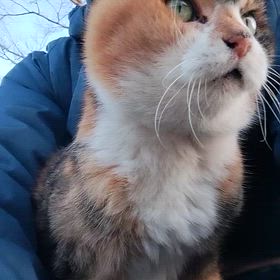 マーちゃんにもマッサージしましたよ。の画像