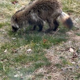 春の兆しの画像