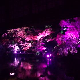 ②【友泉亭】の動画ですの画像