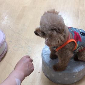 可愛い❤️の画像