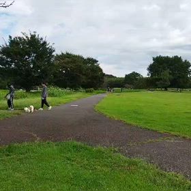 ハイレベ練習（300インターバル）④の画像