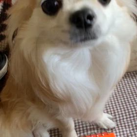 週末のルーチンの画像