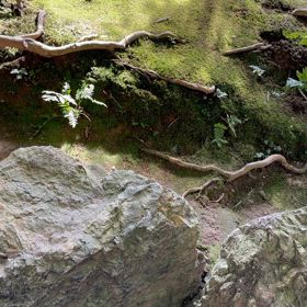 練習あるのみですねの画像