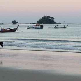 プーケット島からのクリスマスプレゼントの画像