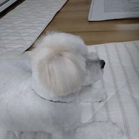 ほっといてくれの画像