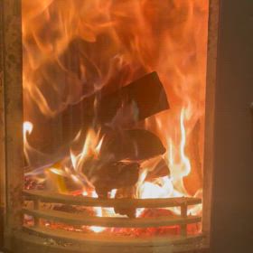 あっという間の晩秋　そして夏の始まり！の画像