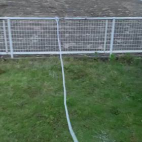 夕方のパパとの時間の画像