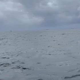 遂に！！！！！！！！！！！の画像