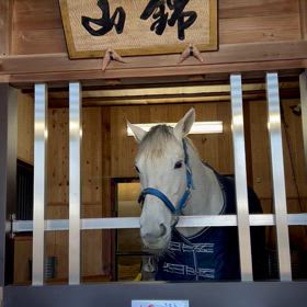 MCZMbj2NaiqxRLf3w2A0QZjdLa-