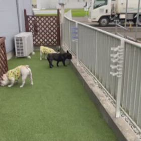 遊ぶんですよの画像