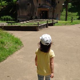 きのこの家の画像