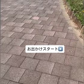 社会勉強の画像