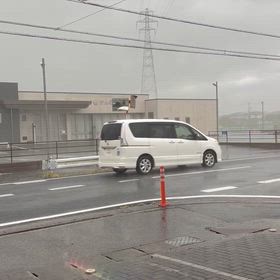 スコールの画像