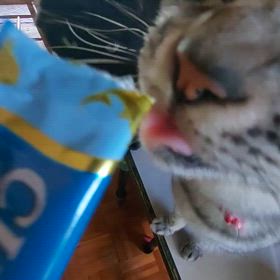 買い物行く前にの画像