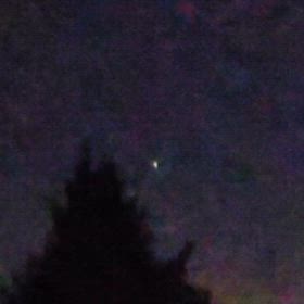 ゆうほーの画像