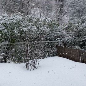 昨日とは違うなぁの画像