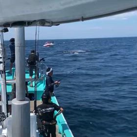 今日も激アツだけどねの画像