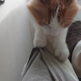 うみとやま2131日目（生後5年11ヶ月16日）の画像