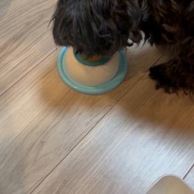 闘病生活③ ステロイドの効果！？の画像