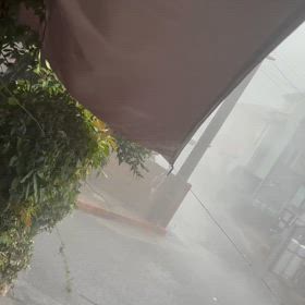 もーちゃんの病院行こうとしたら嵐の画像