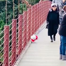 ハロウィンの日に…の画像