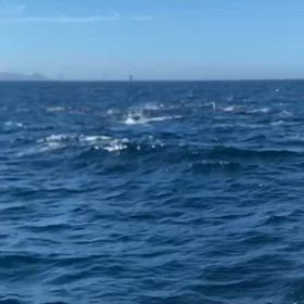 ４本バラシ明日乗り合い募集！の画像