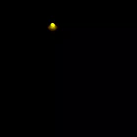 ホタルの光の画像