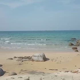 （海）ウインドバカ師匠の教えの画像