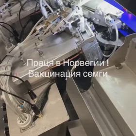 こんな事をしてまで...  c/1909106753/2541の画像