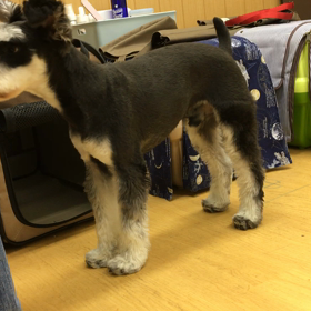 手が入りそうで・・・。の画像