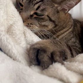 2025年5月25日(日)の画像