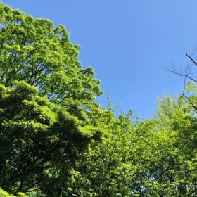 繋がっている感覚の画像