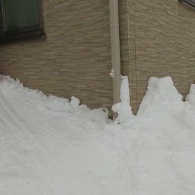 子供と共にN05の画像