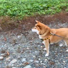 怖い目に遭いました(´°̥̥̥̥̥̥̥̥ω°̥̥̥̥̥̥̥̥｀)の画像