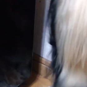 オリンピック、、、は不公平。の画像