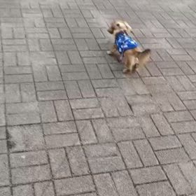 5月3日㈯夜の画像