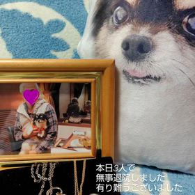 帰ってきましたの画像