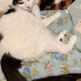 だいじょうぶ？リナちゃんの画像