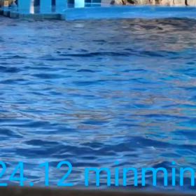 アースくんの思い出②の画像