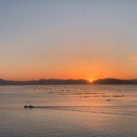 3/27 瀬戸内の朝陽:小鳥のさえずり30秒動画の画像