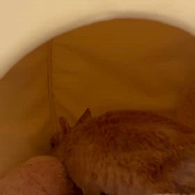 入院12日目の画像