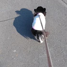 ケガをしてから1週間経ちましたの画像