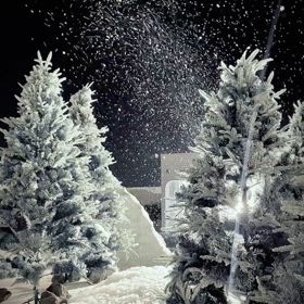 ウエディングドレスの画像