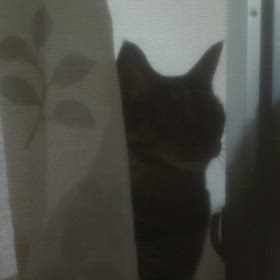 可愛いなと思ってしまうの画像